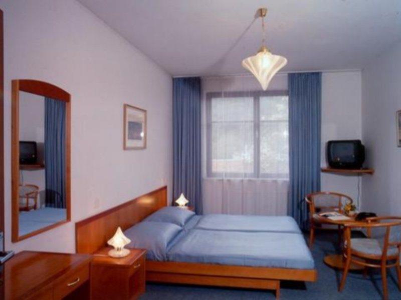 Hotel Dalimil Praga Pokój zdjęcie